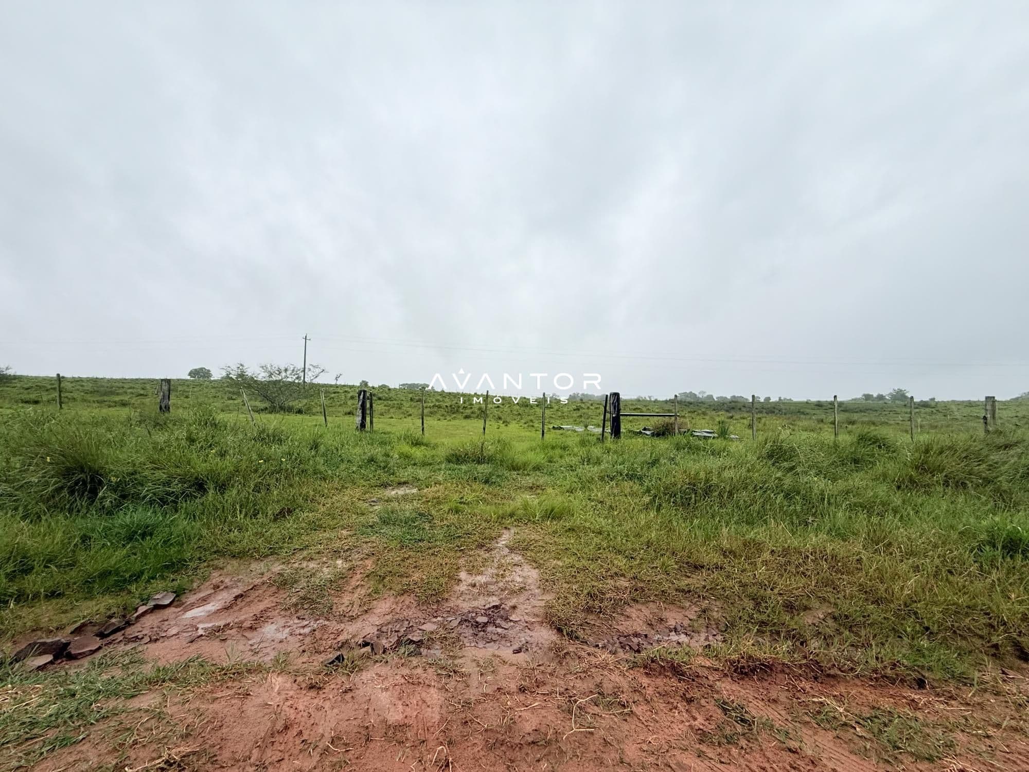 Campo à venda em Interior, Dilermando de Aguiar/RS — foto 2 de 14