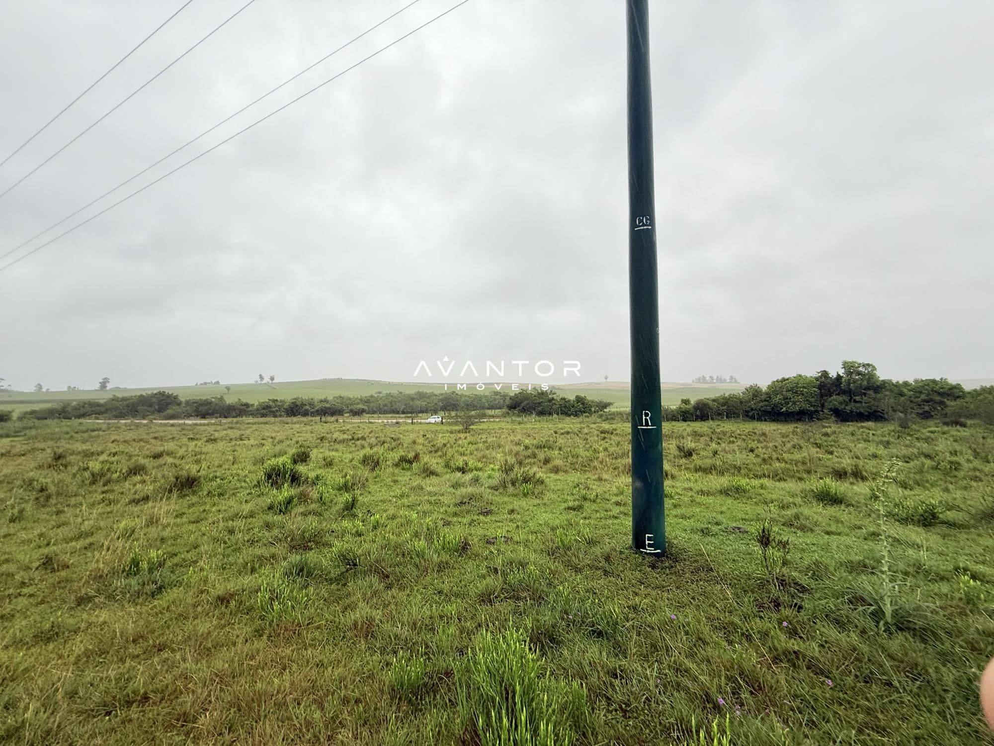 Campo à venda em Interior, Dilermando de Aguiar/RS — foto 3 de 14