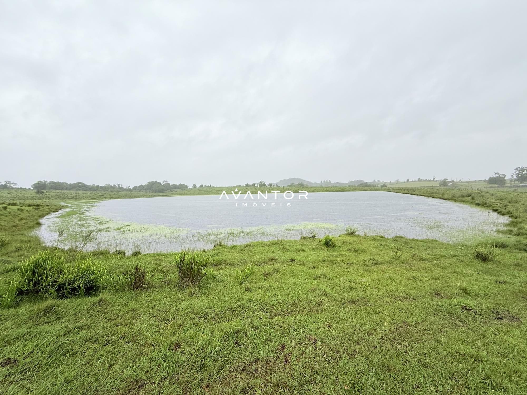 Campo à venda em Interior, Dilermando de Aguiar/RS — foto 6 de 14