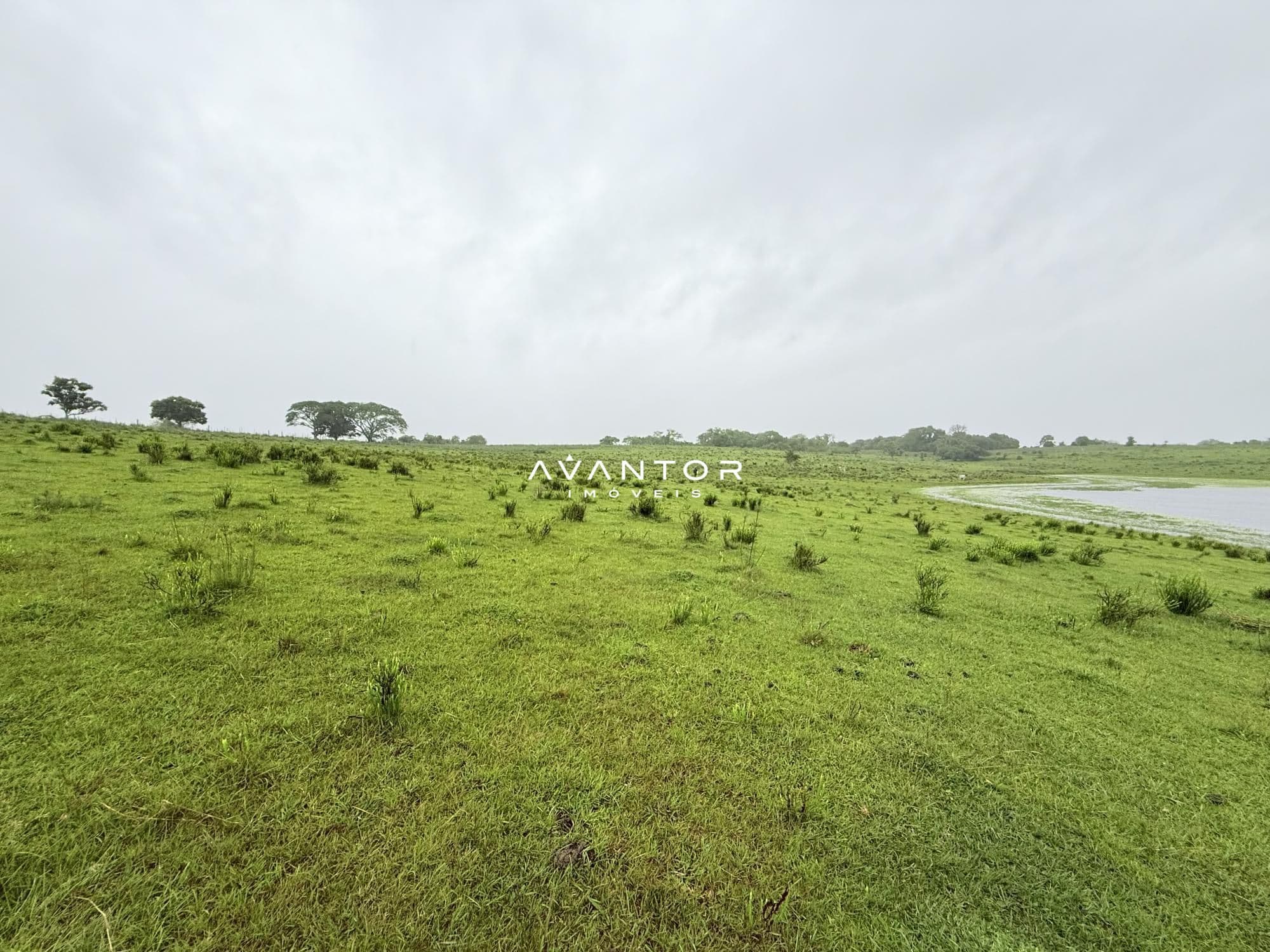 Campo à venda em Interior, Dilermando de Aguiar/RS — foto 7 de 14
