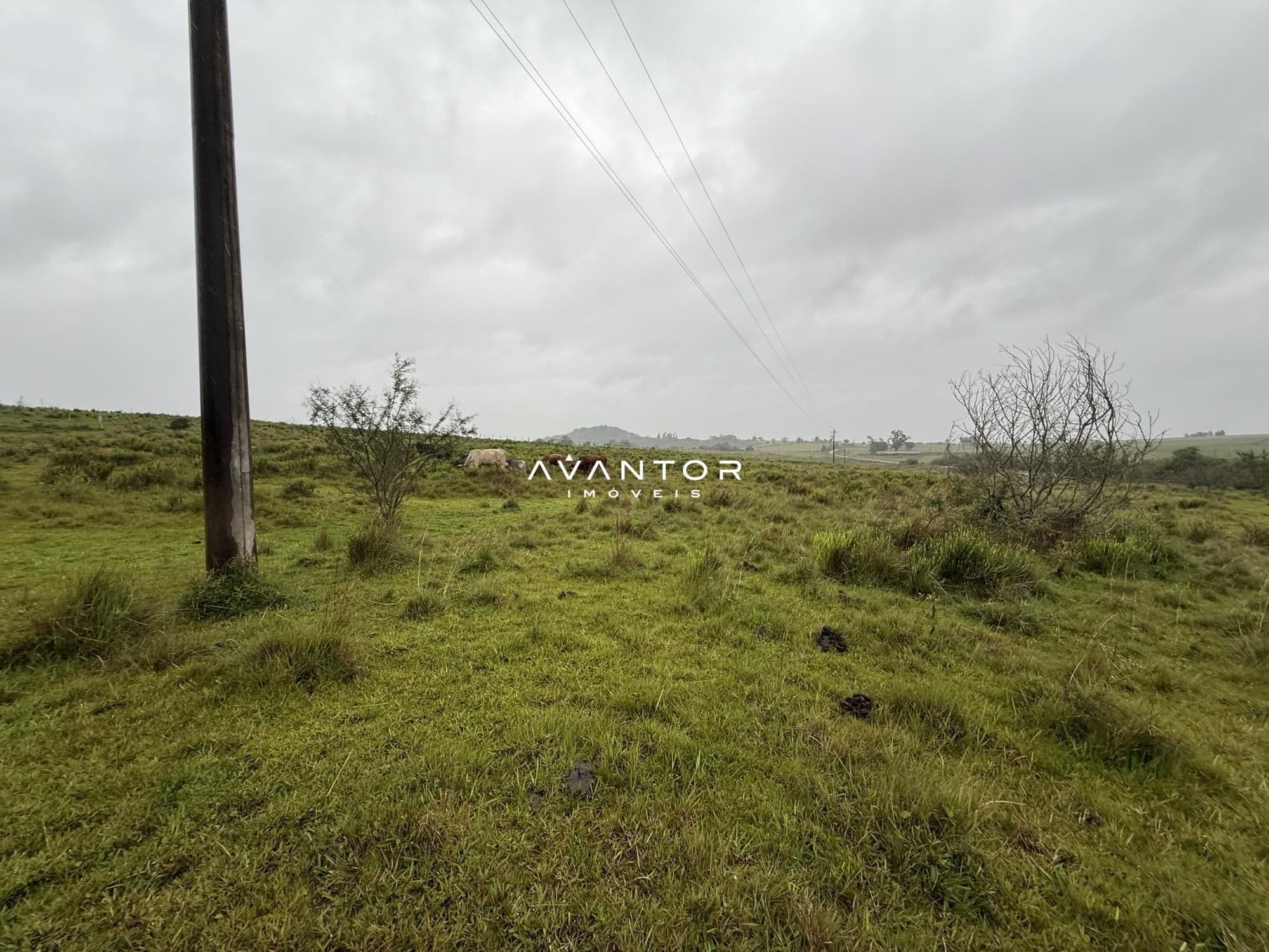 Campo à venda em Interior, Dilermando de Aguiar/RS — foto 13 de 14