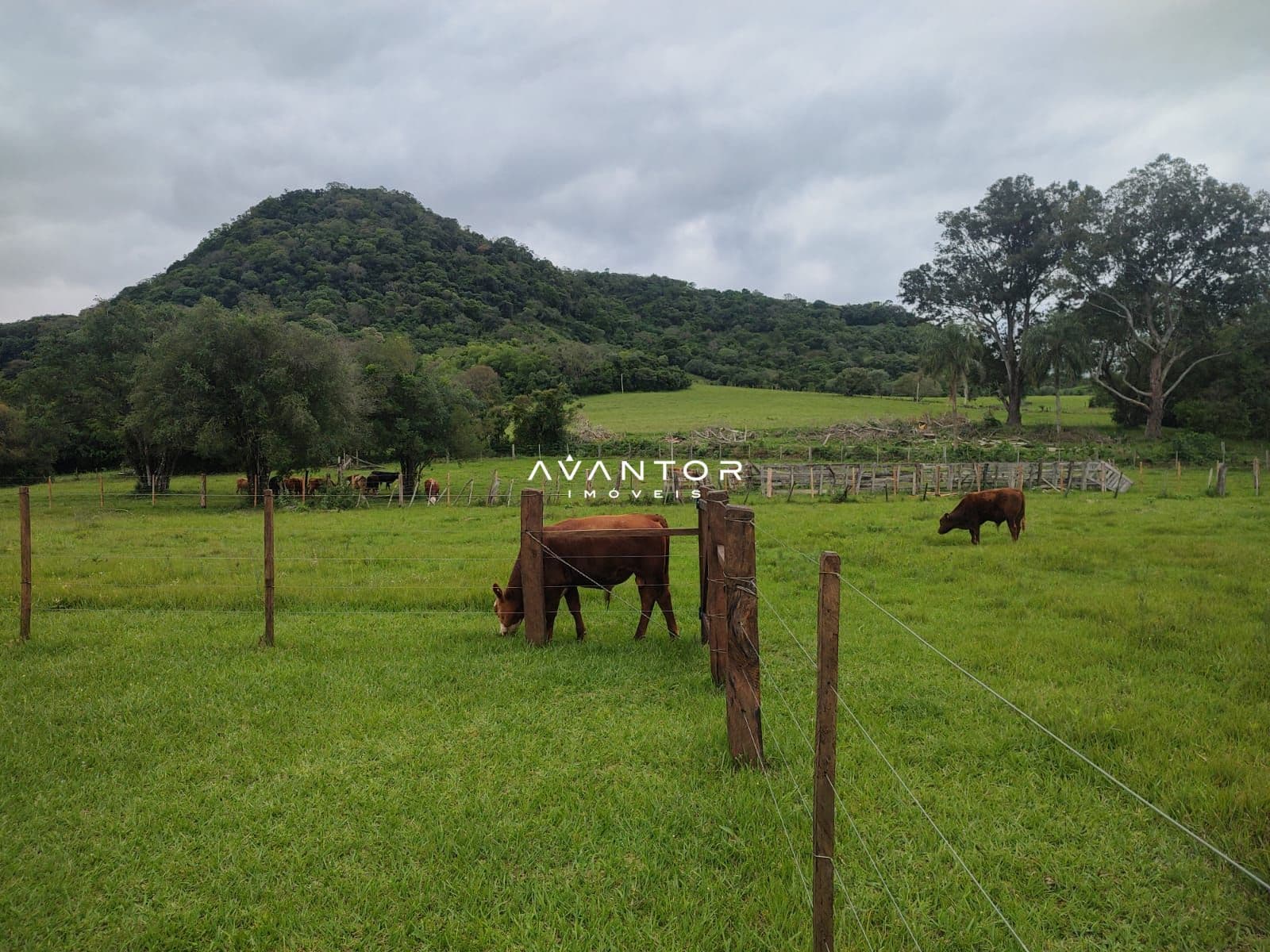 Chácara com 2 quartos à venda em Zona rural, São Martinho da Serra/RS — foto 3 de 7