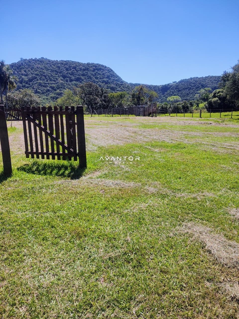 Chácara com 2 quartos à venda em Zona rural, São Martinho da Serra/RS — foto 5 de 7