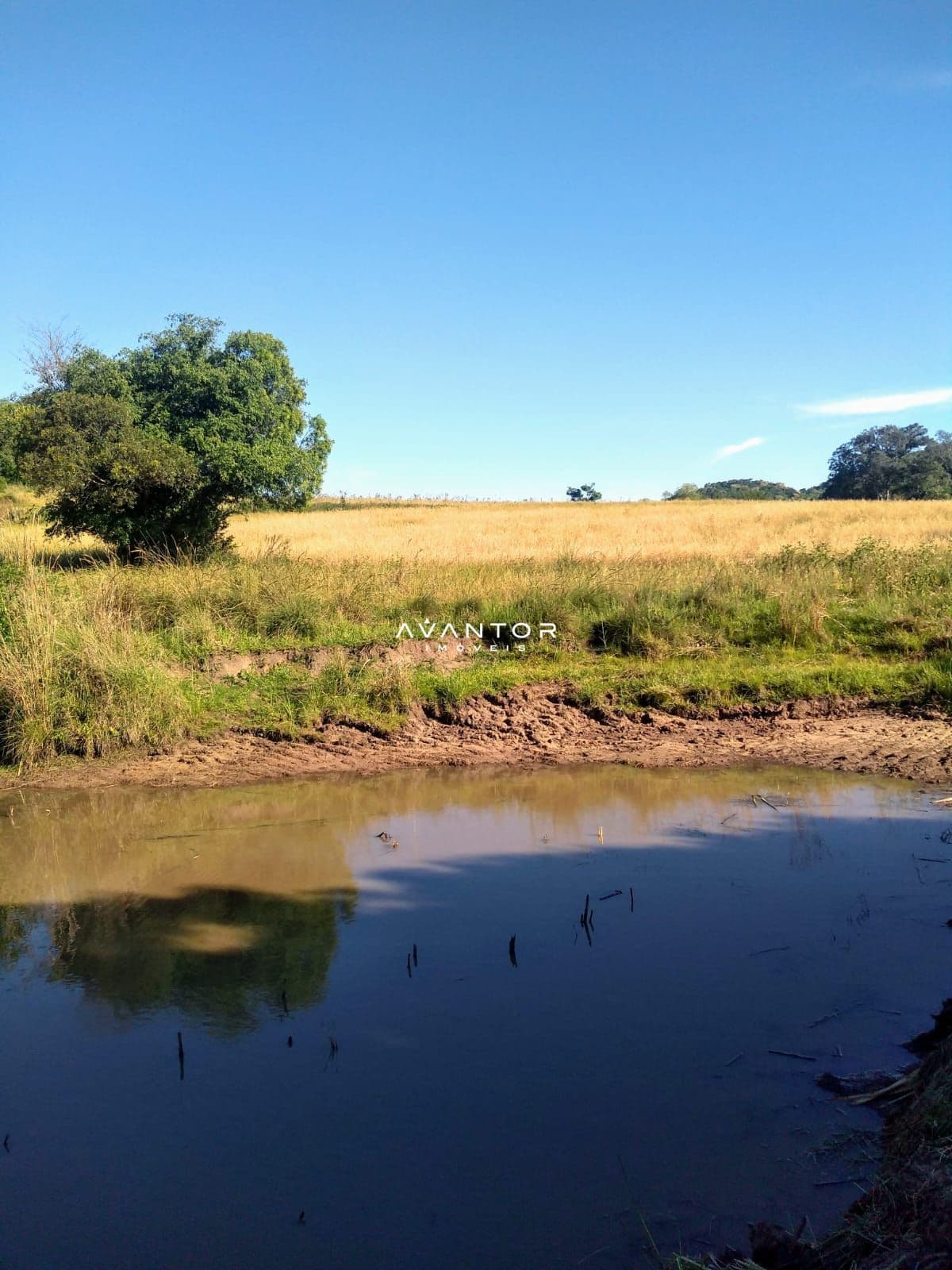Chácara com 2 quartos à venda em Zona rural, São Martinho da Serra/RS — foto 6 de 7