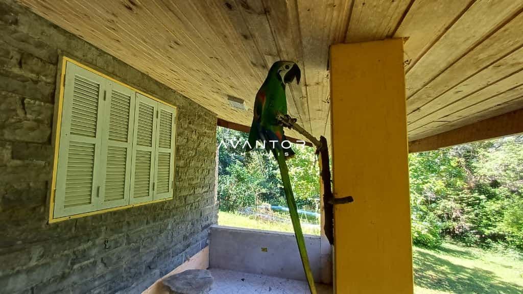 Chácara com 2 quartos à venda em Val de Buia, Silveira Martins/RS — foto 3 de 63