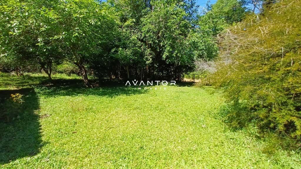 Chácara com 2 quartos à venda em Val de Buia, Silveira Martins/RS — foto 21 de 63