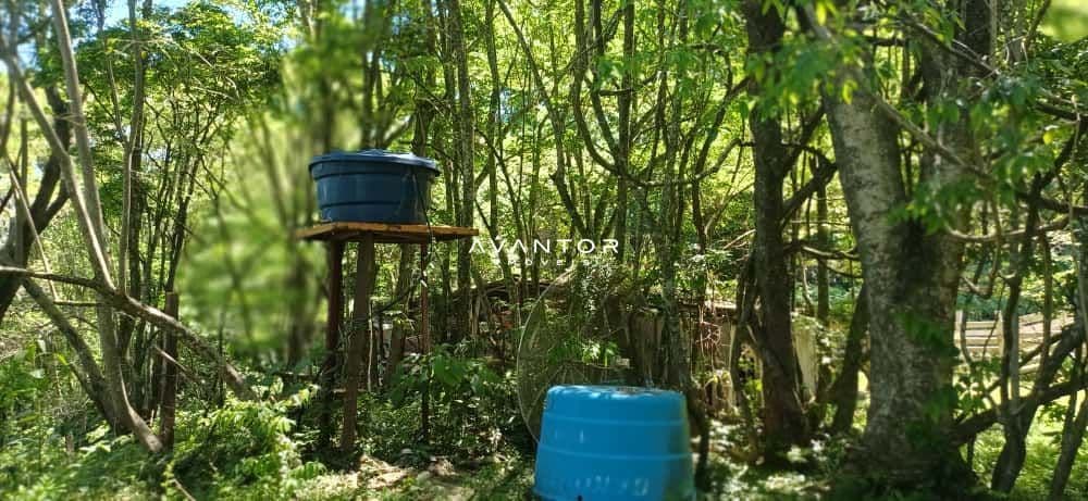 Chácara com 2 quartos à venda em Val de Buia, Silveira Martins/RS — foto 24 de 63