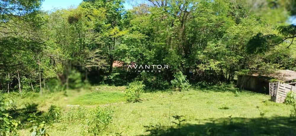 Chácara com 2 quartos à venda em Val de Buia, Silveira Martins/RS — foto 28 de 63