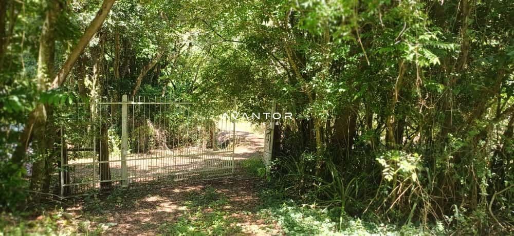 Chácara com 2 quartos à venda em Val de Buia, Silveira Martins/RS — foto 29 de 63