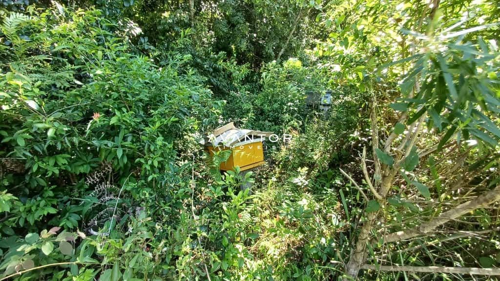 Chácara com 2 quartos à venda em Val de Buia, Silveira Martins/RS — foto 34 de 63