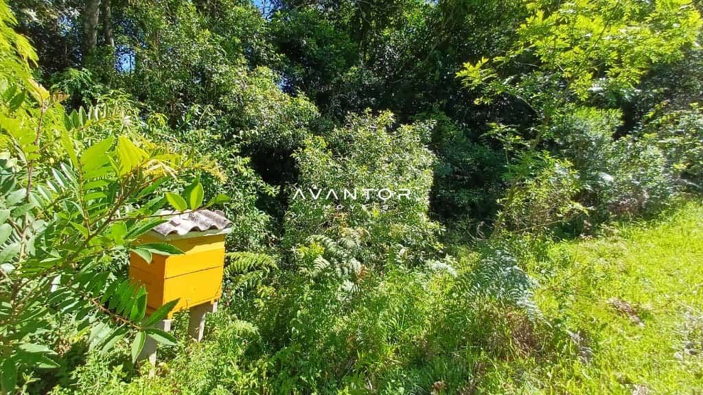 Chácara com 2 quartos à venda em Val de Buia, Silveira Martins/RS — foto 35 de 63