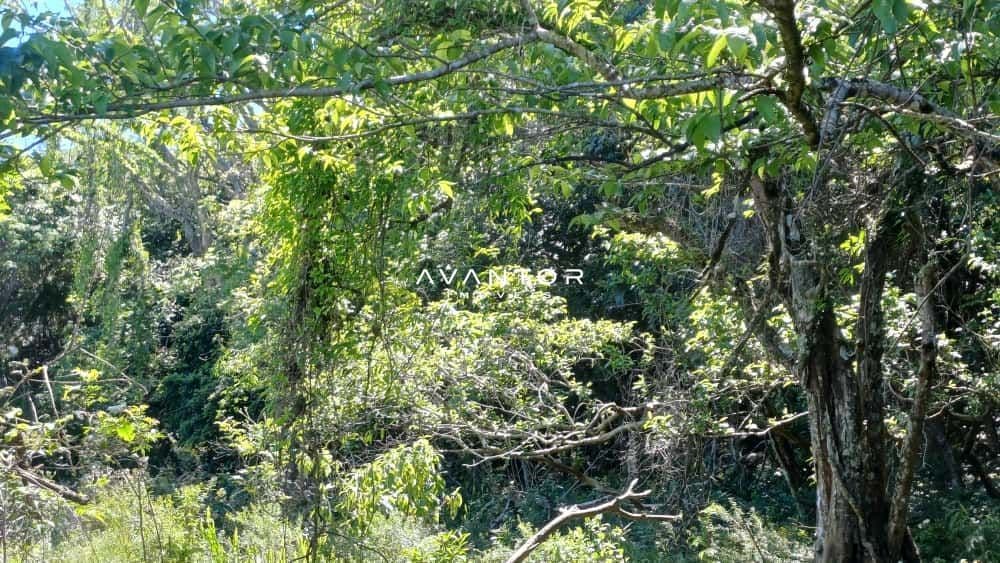 Chácara com 2 quartos à venda em Val de Buia, Silveira Martins/RS — foto 36 de 63