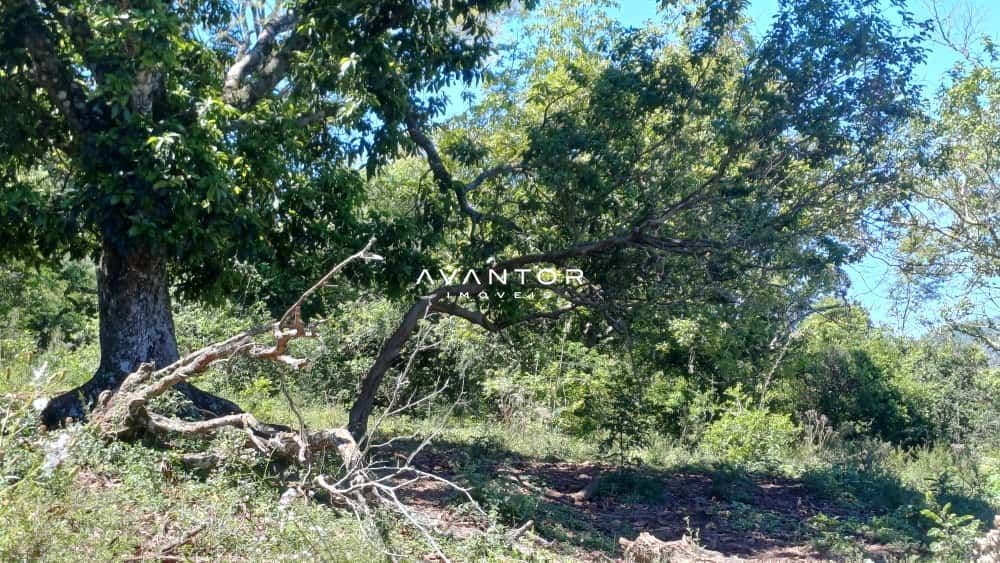 Chácara com 2 quartos à venda em Val de Buia, Silveira Martins/RS — foto 37 de 63