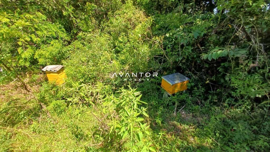 Chácara com 2 quartos à venda em Val de Buia, Silveira Martins/RS — foto 38 de 63