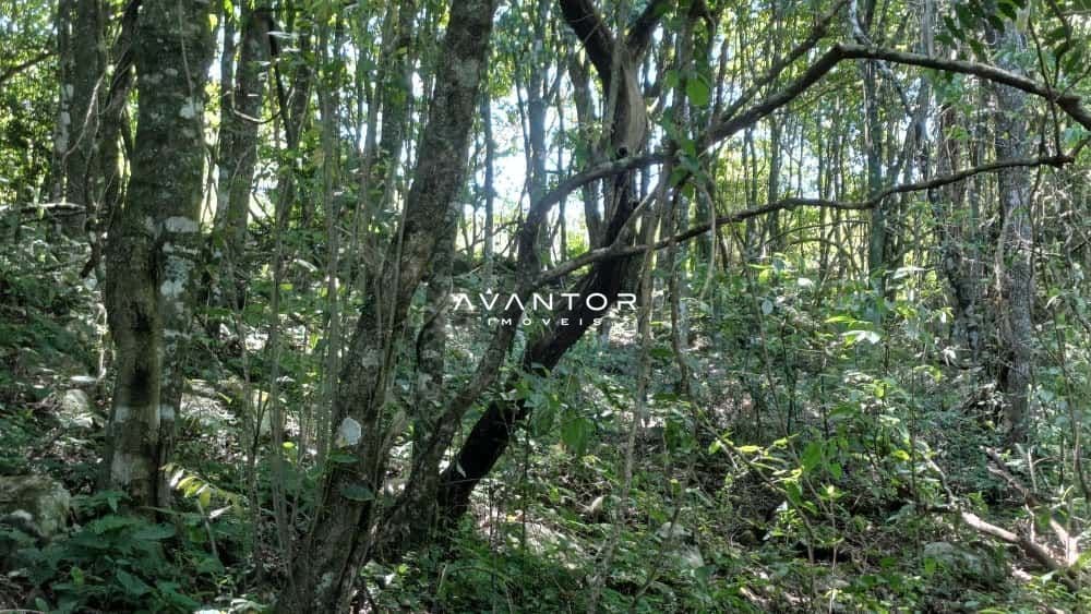 Chácara com 2 quartos à venda em Val de Buia, Silveira Martins/RS — foto 39 de 63