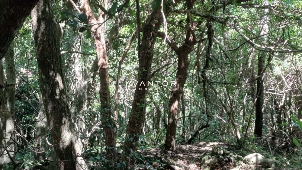 Chácara com 2 quartos à venda em Val de Buia, Silveira Martins/RS — foto 41 de 63