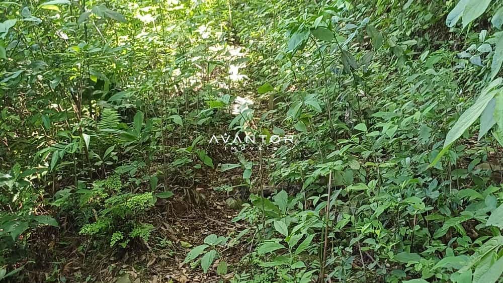Chácara com 2 quartos à venda em Val de Buia, Silveira Martins/RS — foto 45 de 63