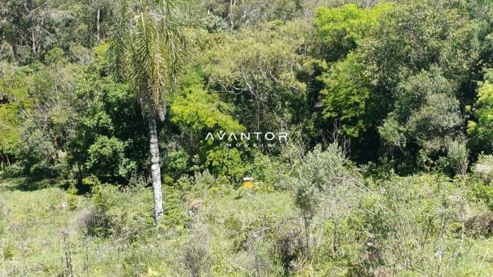Chácara com 2 quartos à venda em Val de Buia, Silveira Martins/RS — foto 48 de 63