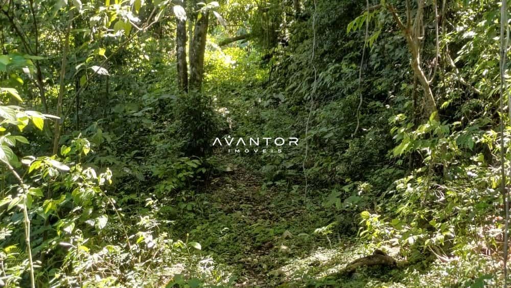 Chácara com 2 quartos à venda em Val de Buia, Silveira Martins/RS — foto 49 de 63