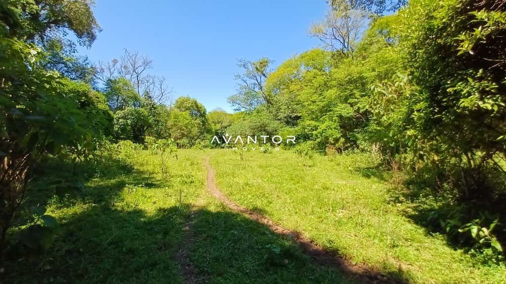 Chácara com 2 quartos à venda em Val de Buia, Silveira Martins/RS — foto 50 de 63