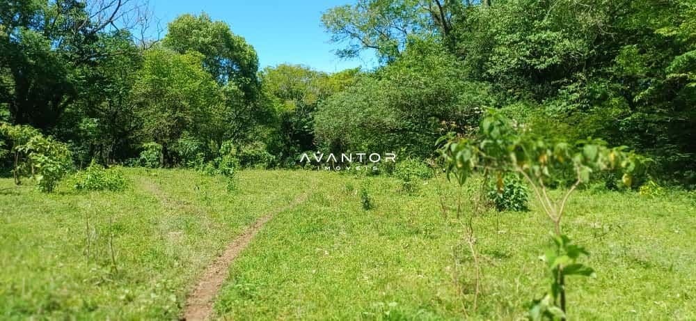 Chácara com 2 quartos à venda em Val de Buia, Silveira Martins/RS — foto 53 de 63