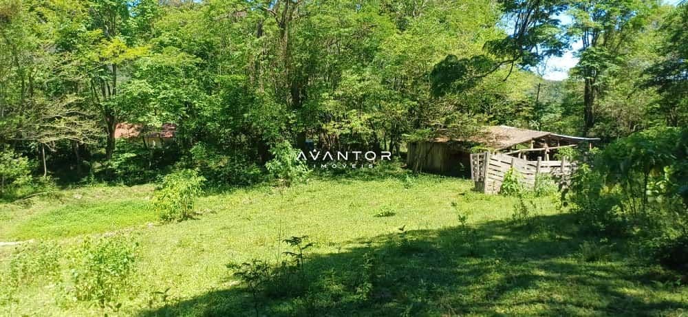 Chácara com 2 quartos à venda em Val de Buia, Silveira Martins/RS — foto 55 de 63