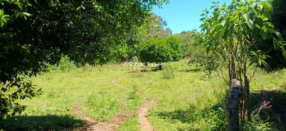 Chácara com 2 quartos à venda em Val de Buia, Silveira Martins/RS — foto 56 de 63