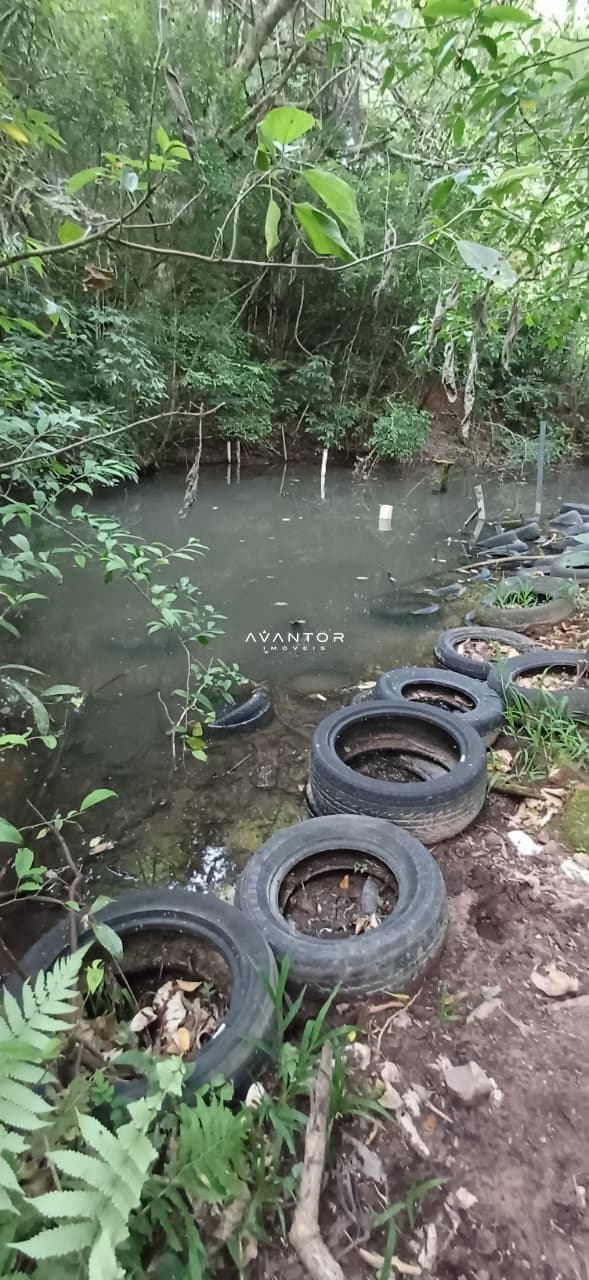 Chácara com 2 quartos à venda em Val de Buia, Silveira Martins/RS — foto 59 de 63