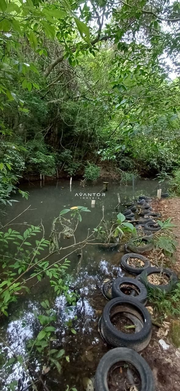 Chácara com 2 quartos à venda em Val de Buia, Silveira Martins/RS — foto 60 de 63