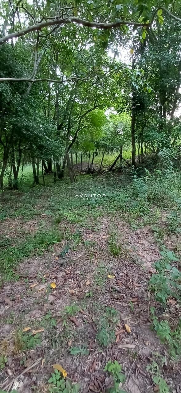Chácara com 2 quartos à venda em Val de Buia, Silveira Martins/RS — foto 61 de 63