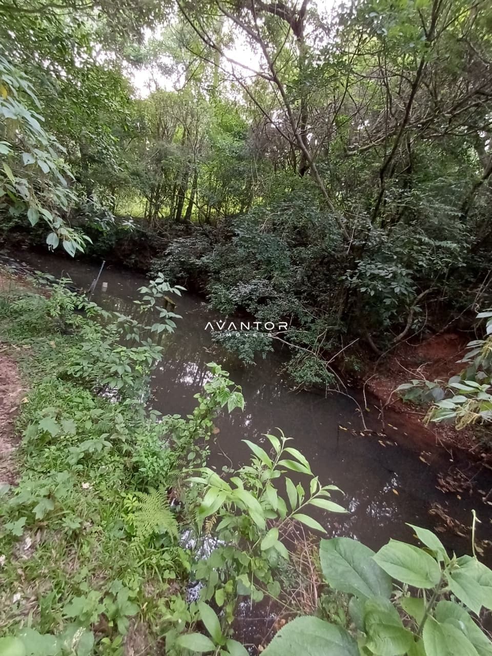 Chácara com 2 quartos à venda em Val de Buia, Silveira Martins/RS — foto 62 de 63