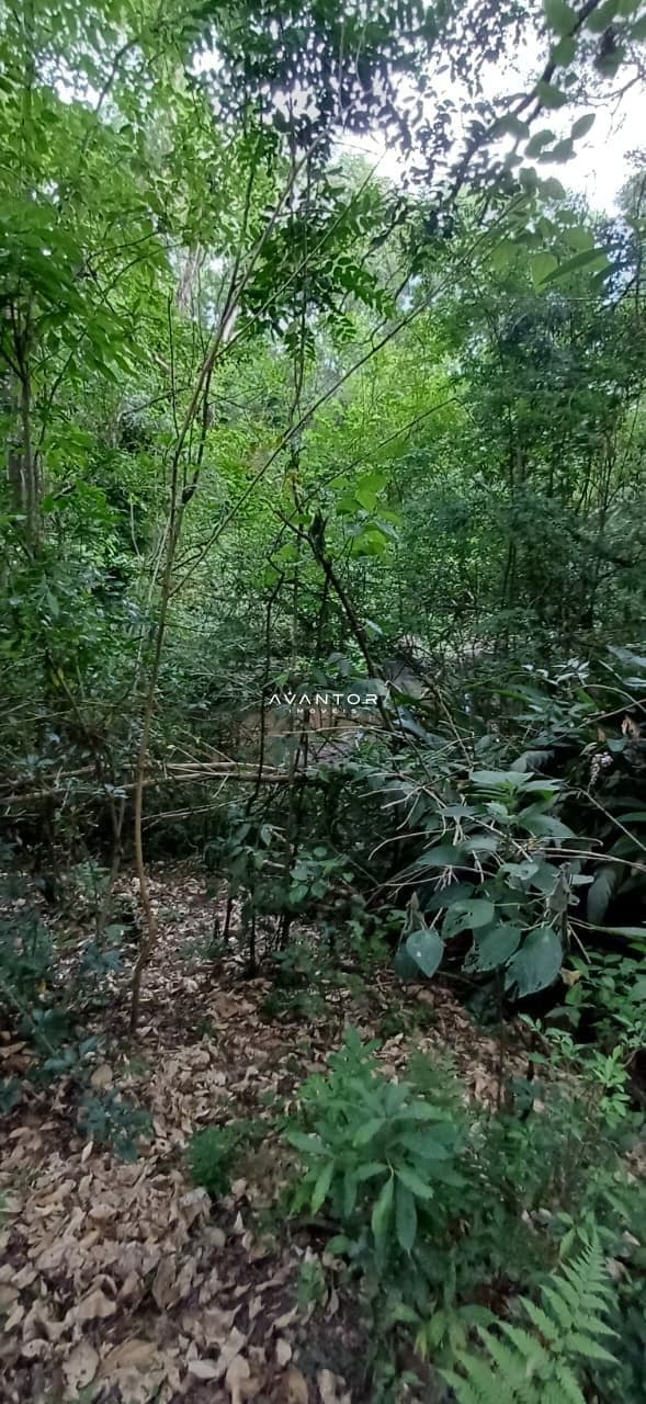 Chácara com 2 quartos à venda em Val de Buia, Silveira Martins/RS — foto 63 de 63