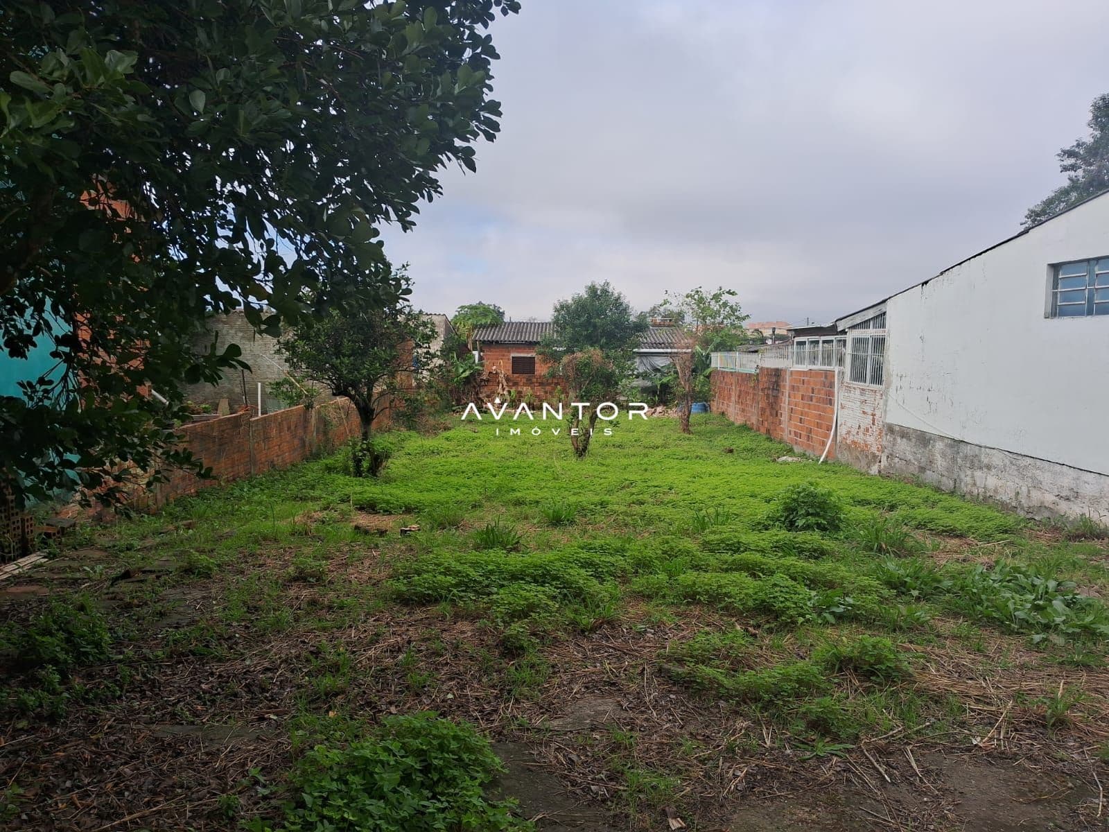 Terreno à venda em Juscelino Kubitschek, Santa Maria/RS — foto 3 de 5
