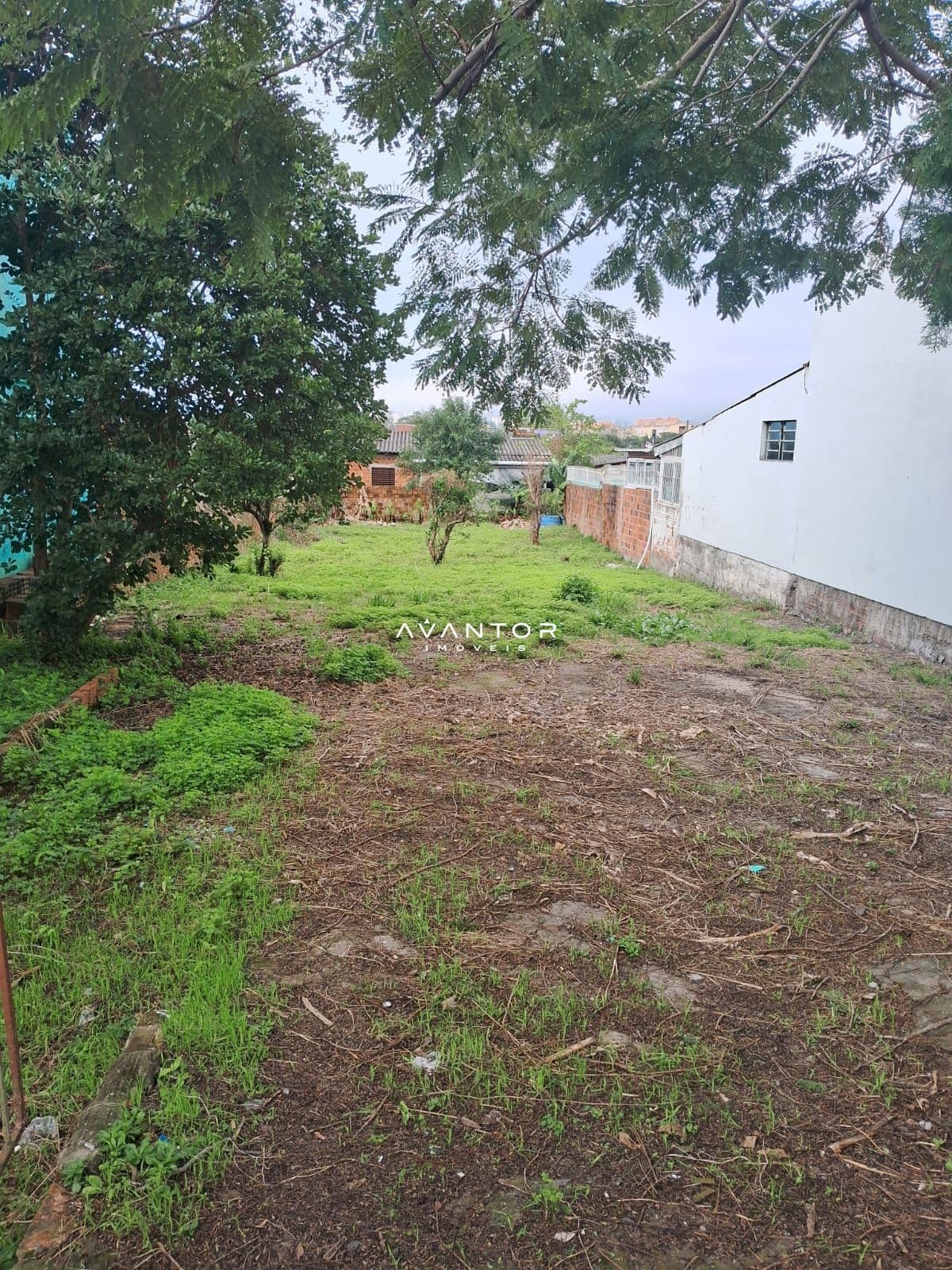 Terreno à venda em Juscelino Kubitschek, Santa Maria/RS — foto 4 de 5