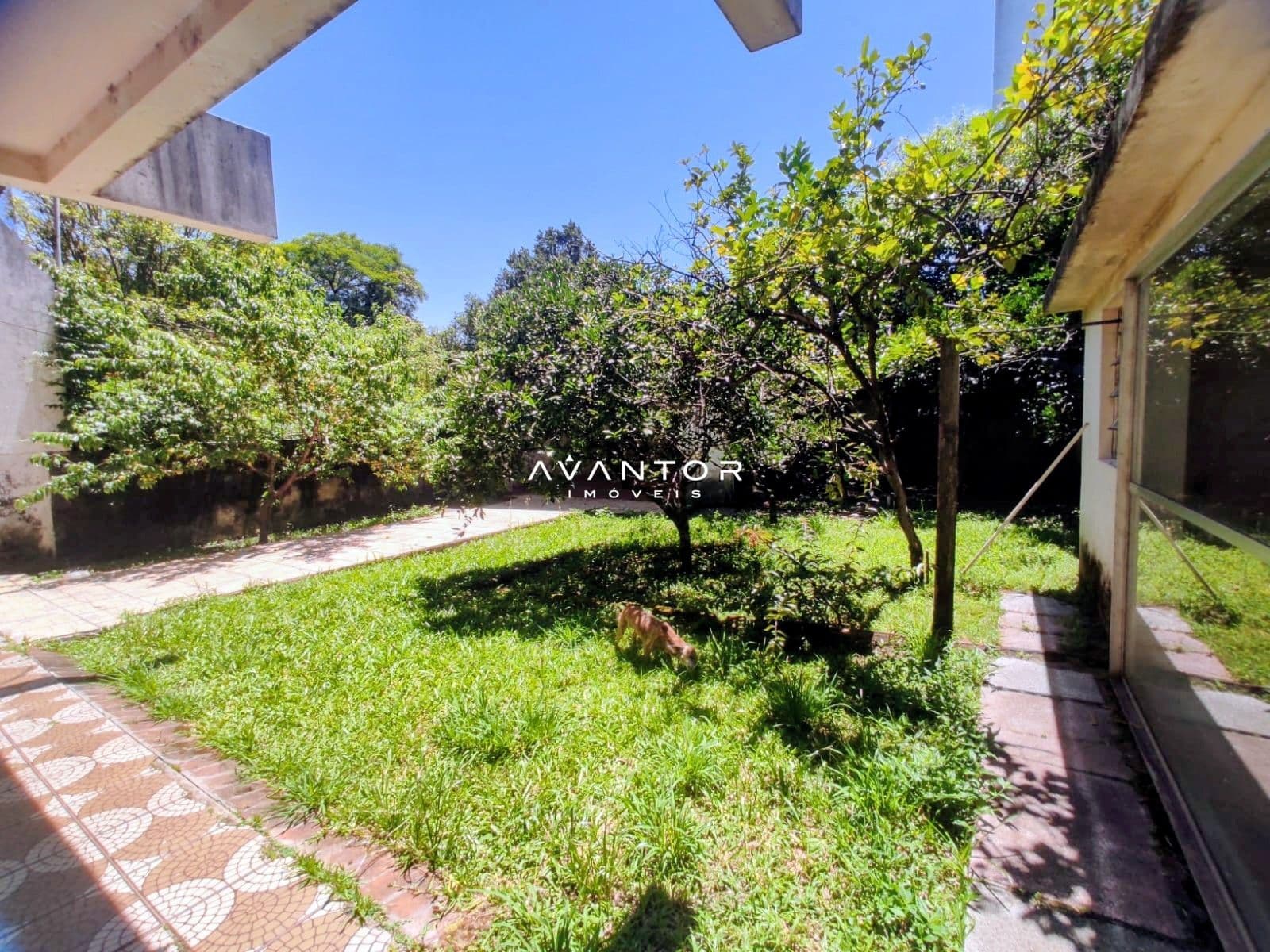 Casa com 3 quartos à venda em Nossa Senhora de Lourdes, Santa Maria/RS — foto 20 de 20