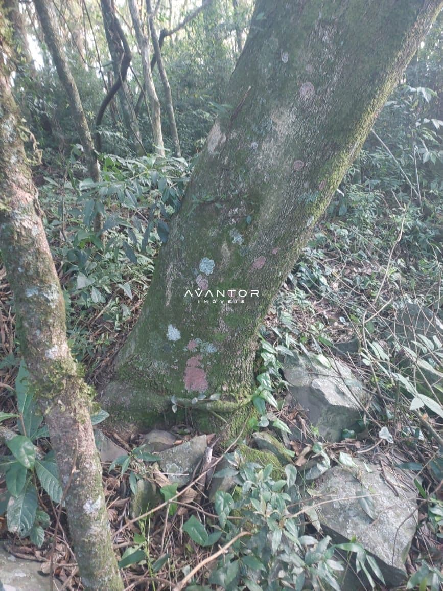 Terreno à venda em Parque Serrano I, Itaara/RS — foto 3 de 7