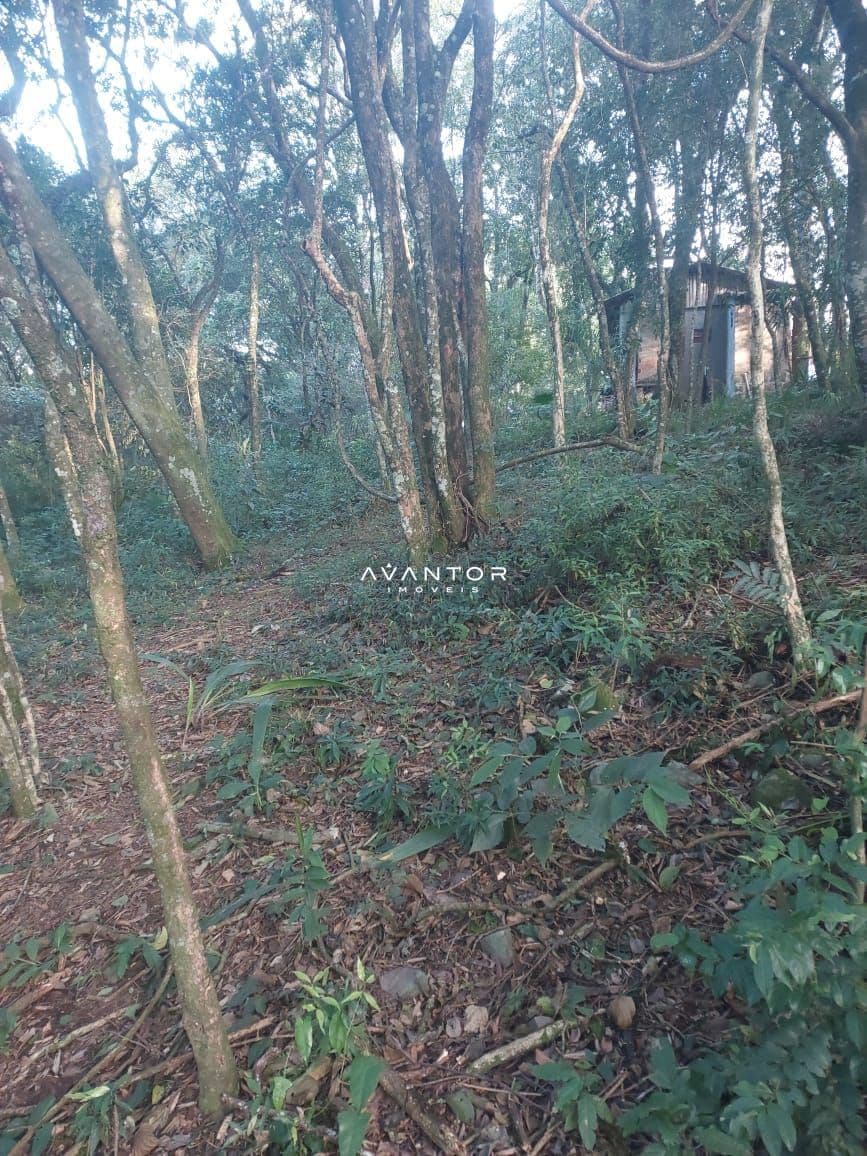 Terreno à venda em Parque Serrano I, Itaara/RS — foto 7 de 7