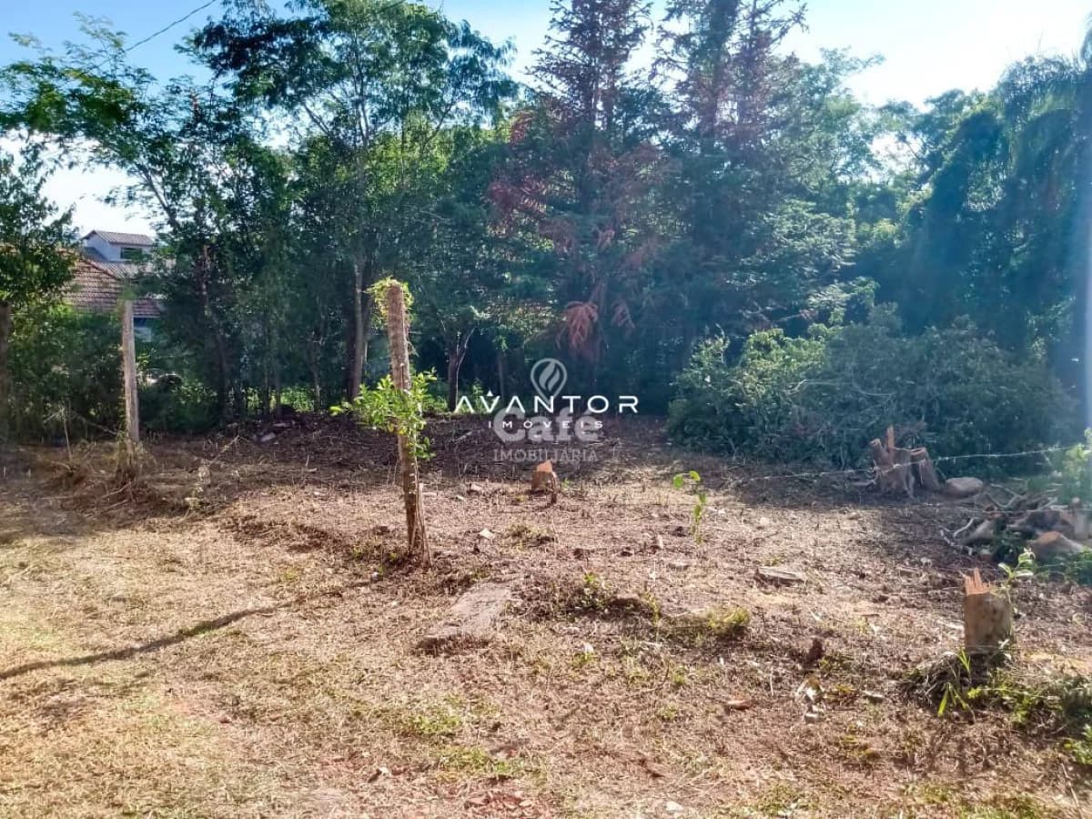 Terreno com árvores e vegetação — Terreno à venda em Chácara das Flores, Santa Maria/RS