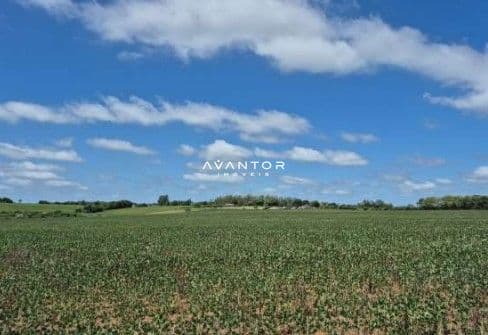 Terreno rural com plantação e céu aberto — Fazenda à venda em Camobi, Santa Maria/RS