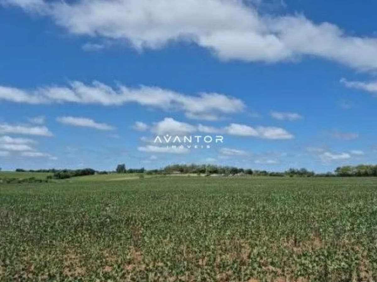 Terreno rural com plantação e céu aberto — Fazenda à venda em Camobi, Santa Maria/RS