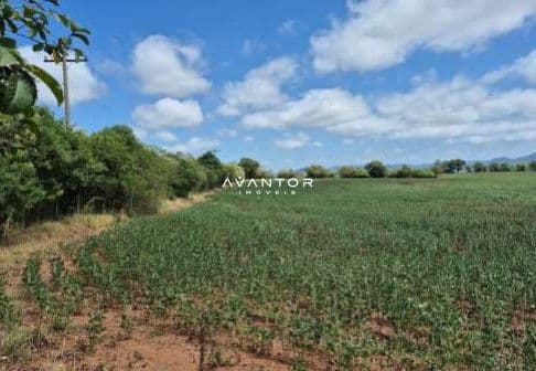 Fazenda à venda em Camobi, Santa Maria/RS — foto 2 de 8