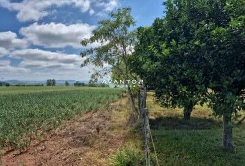 Fazenda à venda em Camobi, Santa Maria/RS — foto 4 de 8