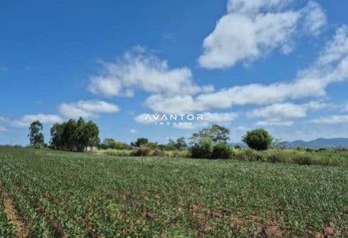 Fazenda à venda em Camobi, Santa Maria/RS — foto 6 de 8