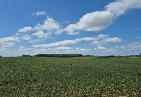 Fazenda à venda em Camobi, Santa Maria/RS — foto 7 de 8