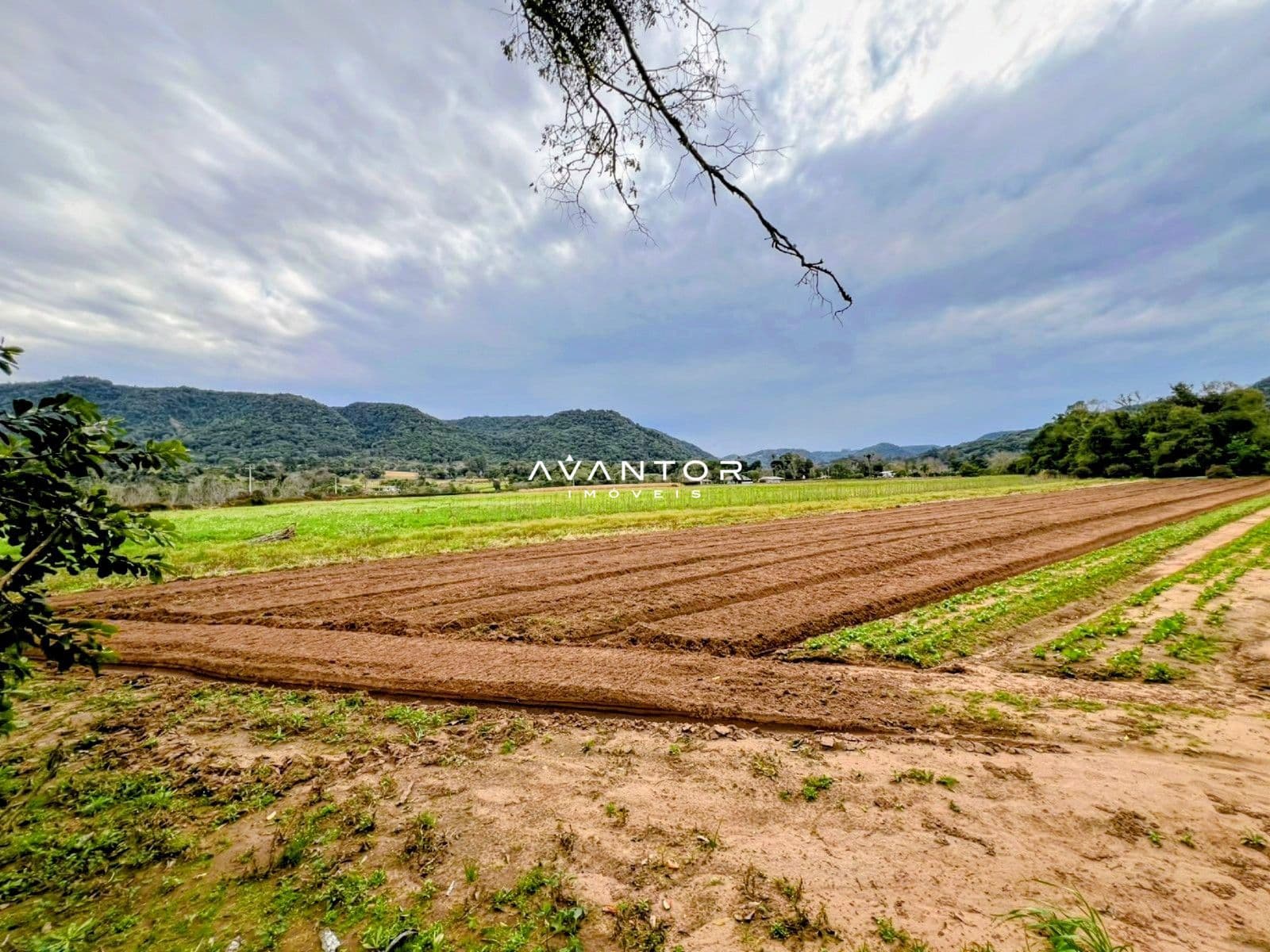 Campo à venda em Mauá, Arroio Grande/RS — foto 2 de 5