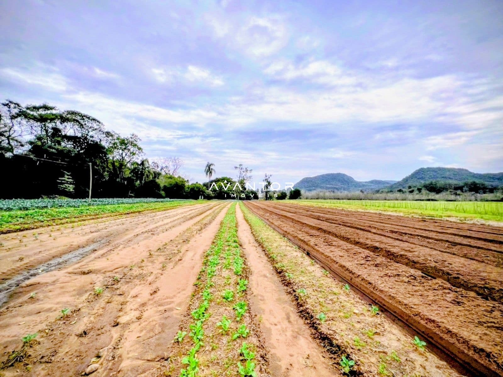 Campo à venda em Mauá, Arroio Grande/RS — foto 3 de 5