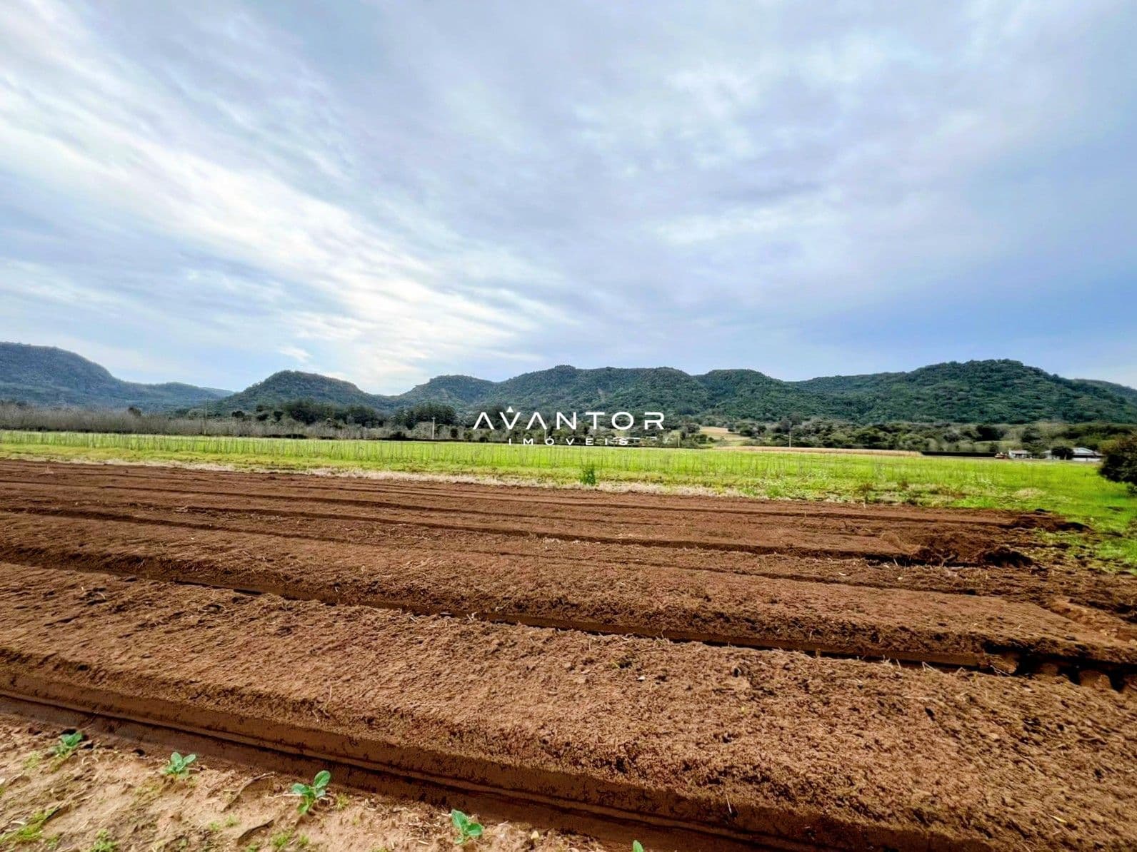 Campo à venda em Mauá, Arroio Grande/RS — foto 4 de 5