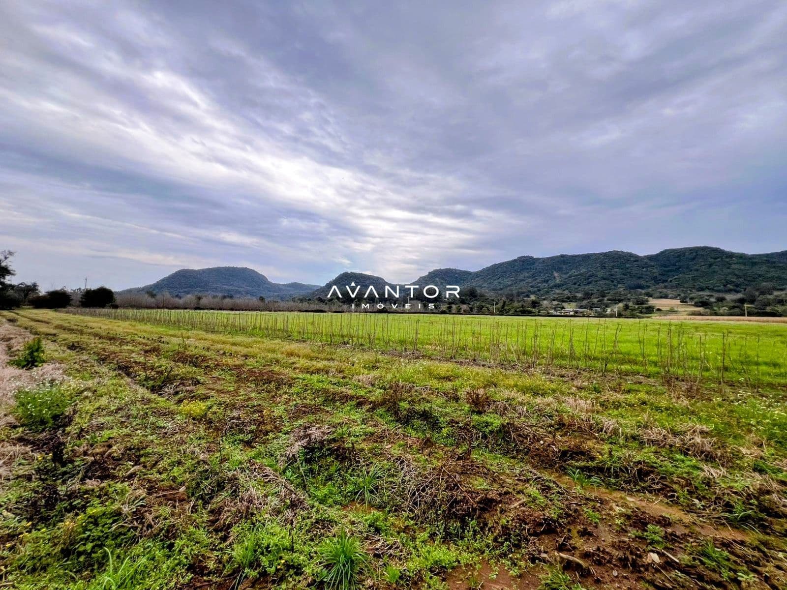 Campo à venda em Mauá, Arroio Grande/RS — foto 5 de 5