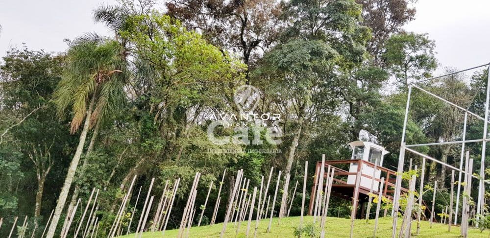 Terreno à venda no Residencial Real Park, em Tomazetti, Santa Maria/RS — foto 14 de 17