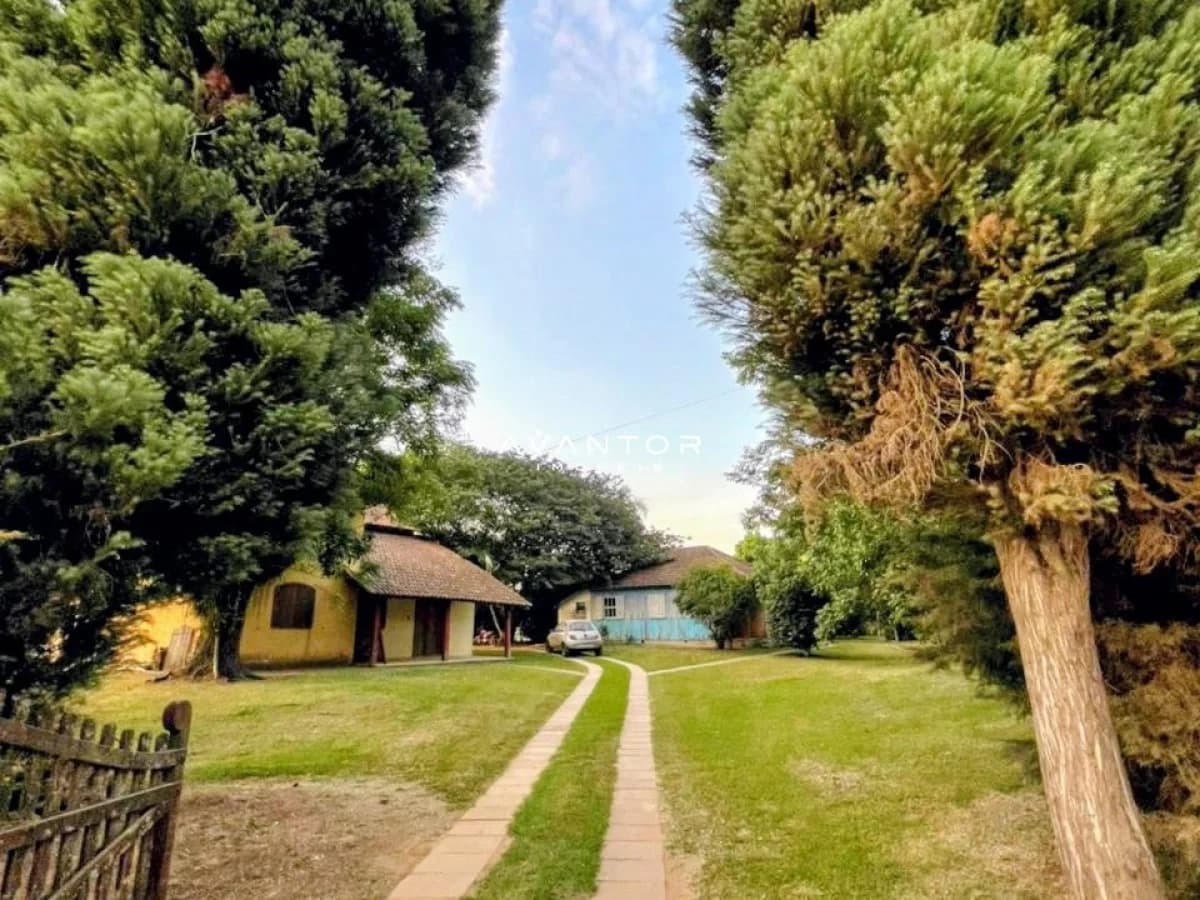 Área externa com construções e terreno arborizado — Chácara com 3 quartos à venda em Arroio Grande, Santa Maria/RS